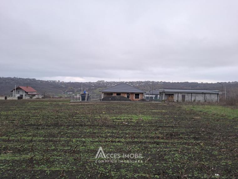 Teren pentru construcții 9 ari! Tohatin, str. Speranței!: 0