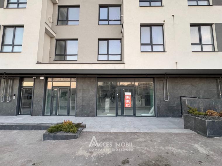 Spațiu comercial! Dumbrava, str. Durlești, 299m2. Variantă albă!: 1