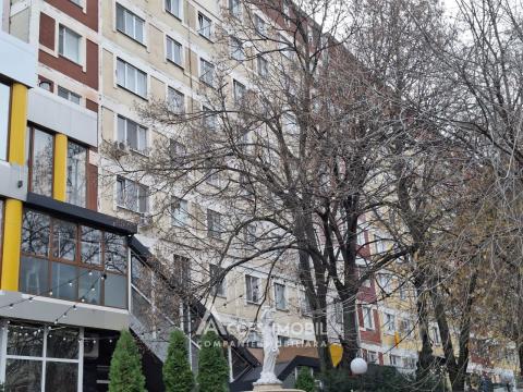 Чеканы, ул. Алеку Руссо, 1 комната. Евроремонт!: 7