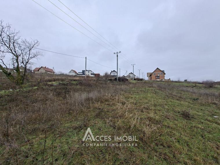 Земельный участок под строительство 5.58 соток! Келтуитори, ул. Суцевица!: 0