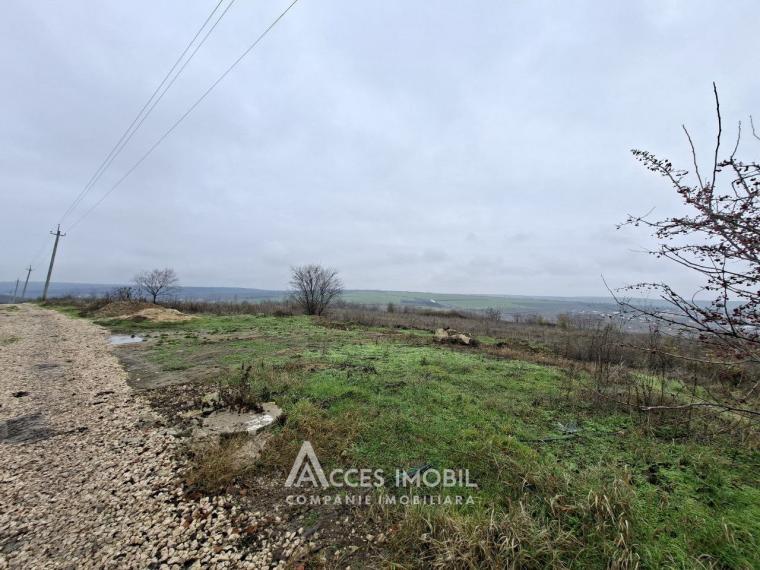 Земельный участок под строительство 5.58 соток! Келтуитори, ул. Суцевица!: 1