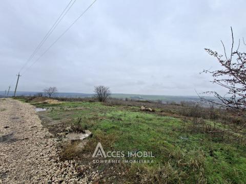 Земельный участок под строительство 5.58 соток! Келтуитори, ул. Суцевица!: 1