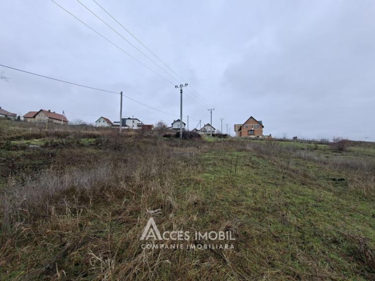 Земельный участок под строительство 7 соток! Келтуитори, ул. Триколорулуй!: 1