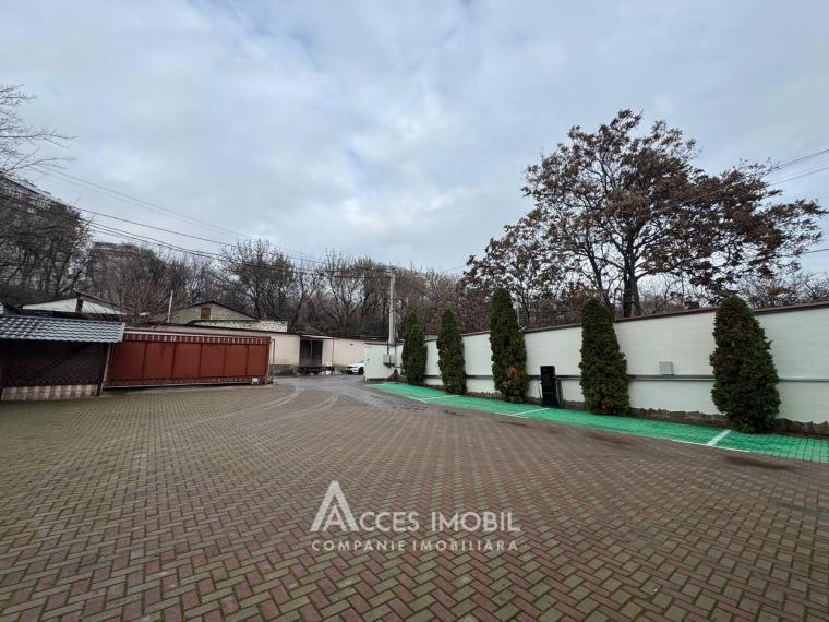 Chirie! Spațiu Comercial 25m2! Botanica, str. Camenița!: 9