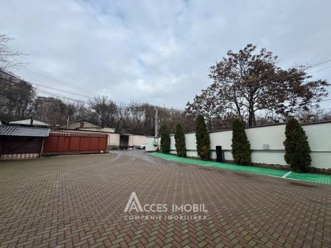 Chirie! Spațiu Comercial 25m2! Botanica, str. Camenița!: 9