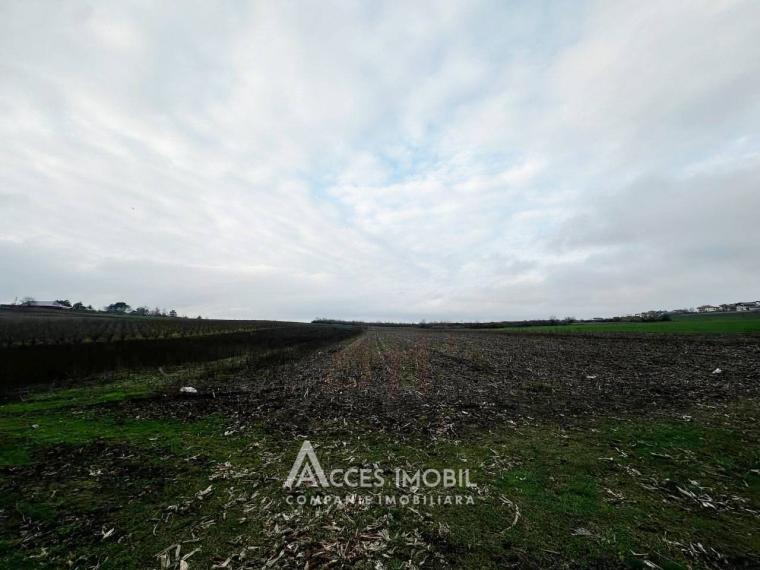 Teren intravilan agricol 57 ari. Colonița, str. Calea Strămoşilor!: 0