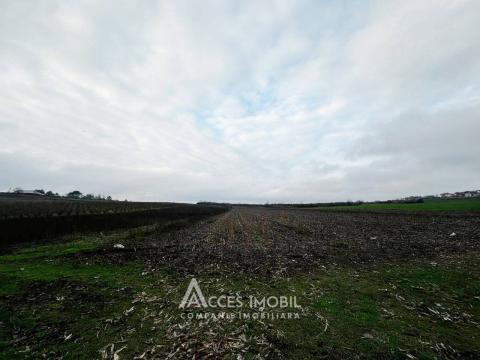 Terenuri de vânzare în Chișinău: Colonița, str. Calea Strămoşilor