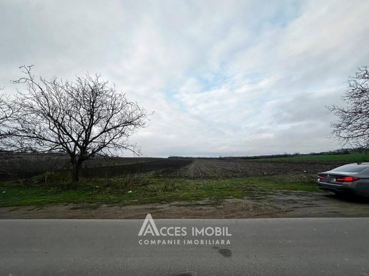 Teren intravilan agricol 57 ari. Colonița, str. Calea Strămoşilor!: 1