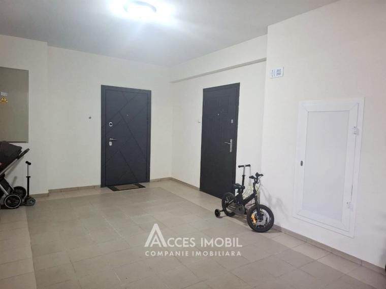 Basconslux! bd. Mircea cel Bătrân, Ciocana, 1 cameră. Euroreparație!: 8