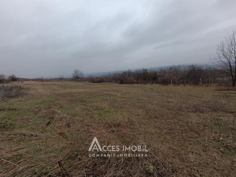 Teren pentru construcții 30 ari! Durlești, str. Tricolorului!: 0