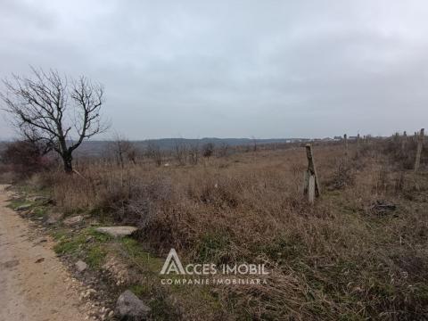 Teren pentru construcții 11 ari! Durlești, str. Tricolorului!: 0