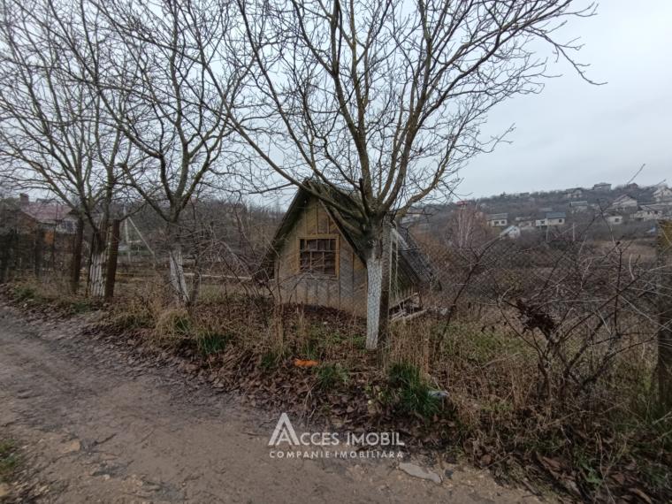 Lot de teren pomicol 16 ari! Dumbrava, str. Drumul Vilelor!: 0