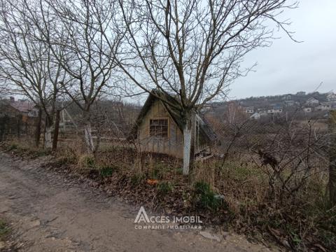 Terenuri de vânzare în Chișinău: Dumbrava str. Drumul Vilelor