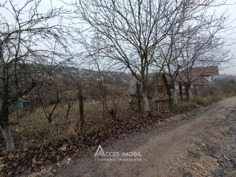 Lot de teren pomicol 16 ari! Dumbrava, str. Drumul Vilelor!: 3