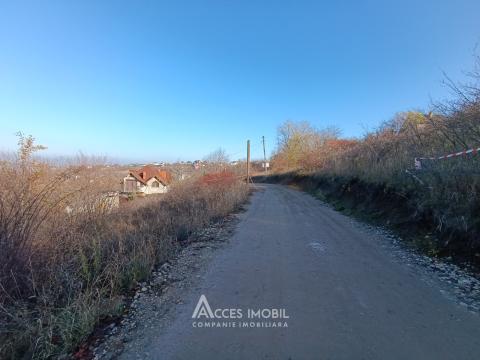 Lot de teren pomicol 6 ari! Dumbrava, str. Drumul Vilelor!: 1