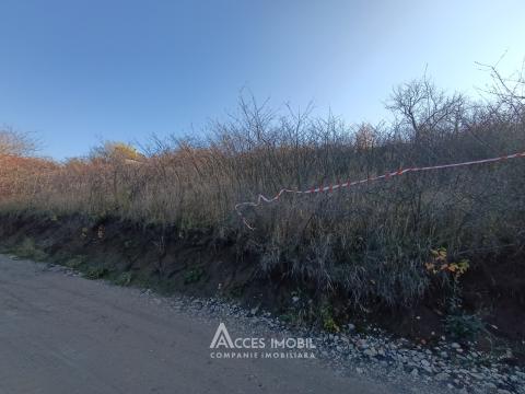 Lot de teren pomicol 6 ari! Dumbrava, str. Drumul Vilelor!: 2