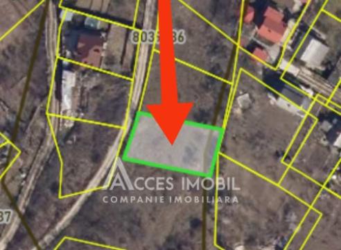 Lot de teren pomicol 6 ari! Dumbrava, str. Drumul Vilelor!: 3