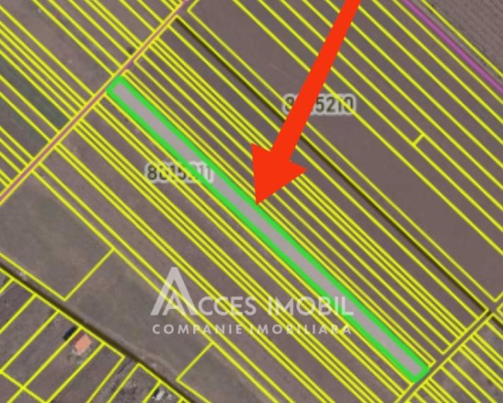 Teren pentru agricultură, 36 ari! Cojușna, str. Doctor Andrei Samoilă!: 2