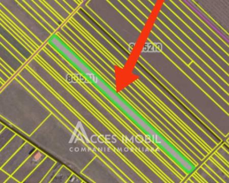 Teren pentru agricultură, 36 ari! Cojușna, str. Doctor Andrei Samoilă!: 2