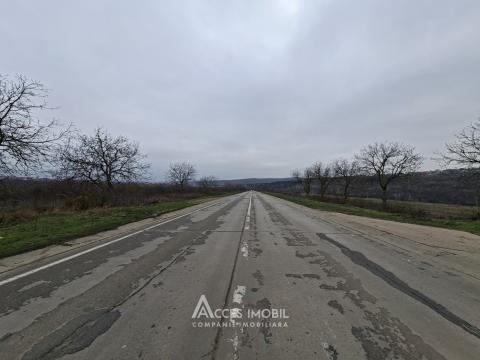 Teren Agricol 21 ari! Tohatin, M14!: 1