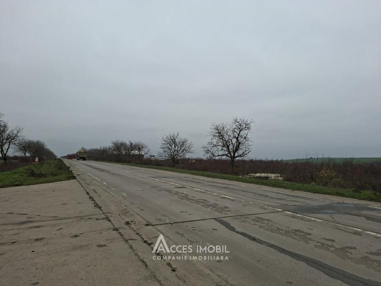 Teren Agricol 21 ari! Tohatin, M14!: 2