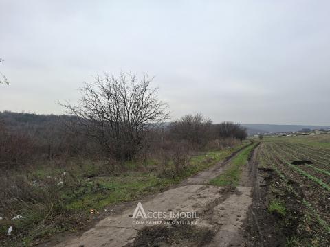 Teren Agricol 21 ari! Tohatin, M14!: 3