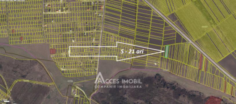 Teren Agricol 21 ari! Tohatin, M14!: 4
