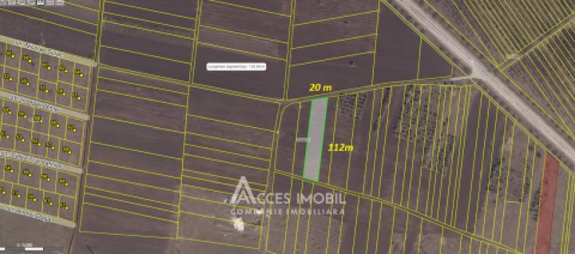 Teren Agricol 21 ari! Tohatin, M14!: 5