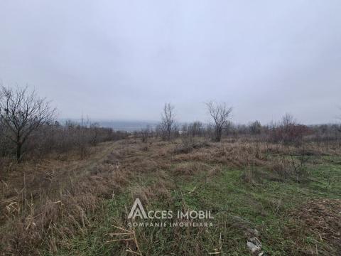 Lot de teren agricol 24 ari! Bubuieci!: 2