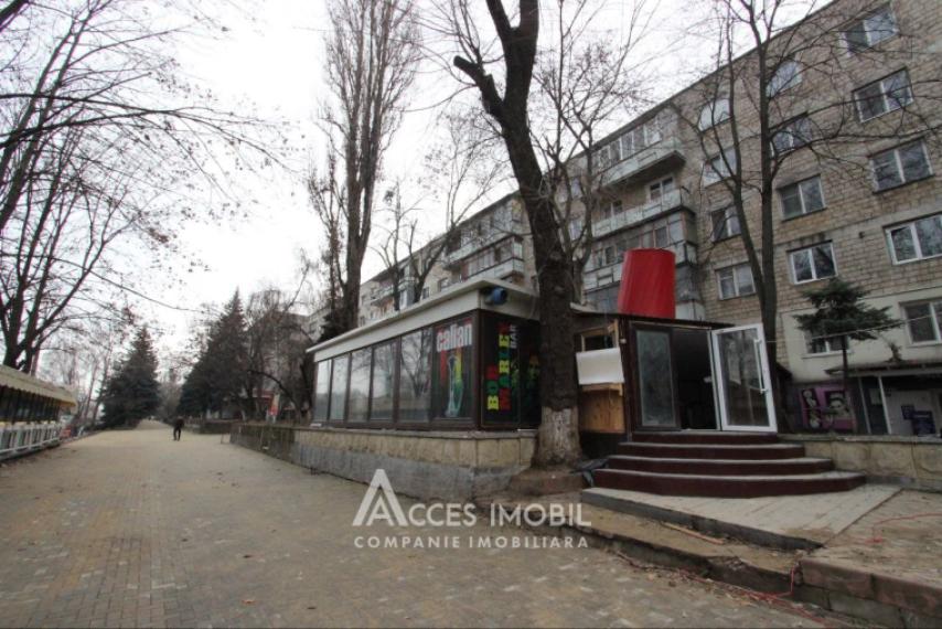 Ботаника, бул. Дачия, 2 комнаты + гостиная! Евроремонт! Середина дома!: 9