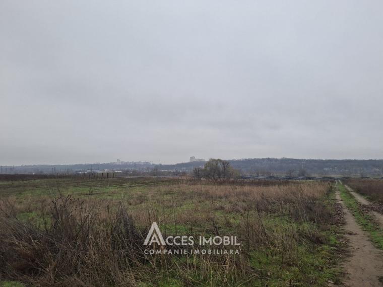 Teren agricol 50 ari! sat. Bîc, str. Grădinarilor!: 2