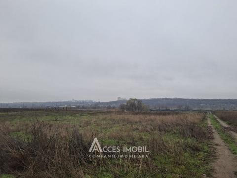 Teren agricol 50 ari! sat. Bîc, str. Grădinarilor!: 2