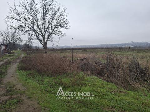 Teren agricol 50 ari! sat. Bîc, str. Grădinarilor!: 3