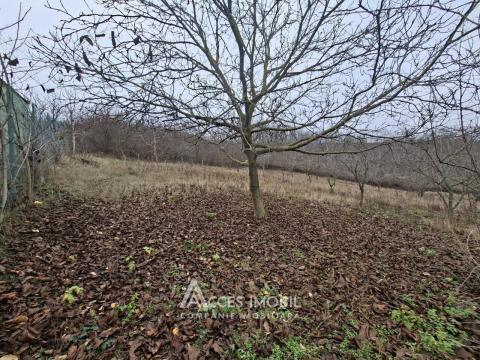 Teren pentru construcții 13 ari. Grătiești, str. Livezilor!: 1