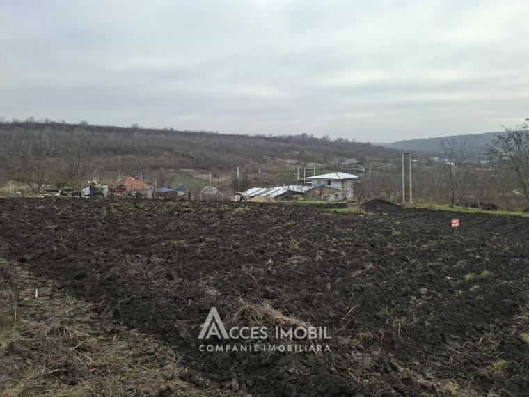 Teren pomicol 6 ari! Buneț, IP!: 0