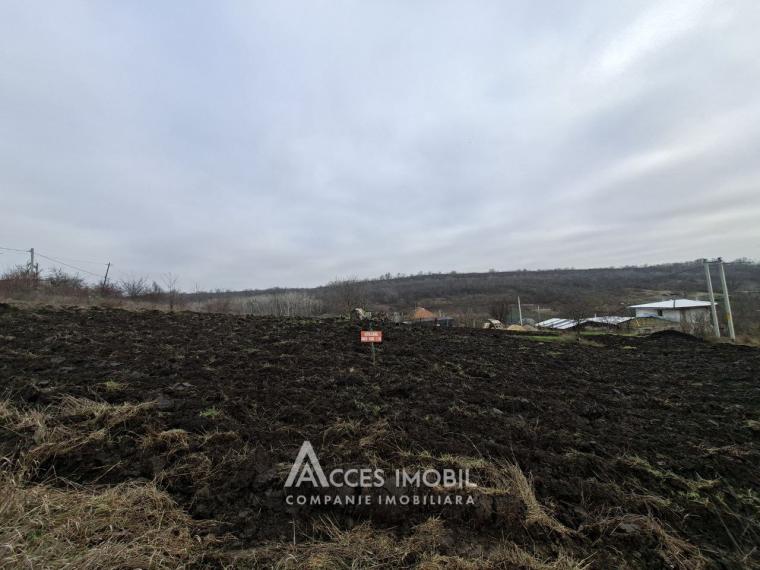 Teren pomicol 6 ari! Buneț, IP!: 1
