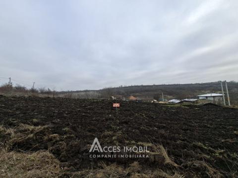 Teren pomicol 6 ari! Buneț, IP!: 1