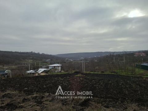 Teren pomicol 6 ari! Buneț, IP!: 2