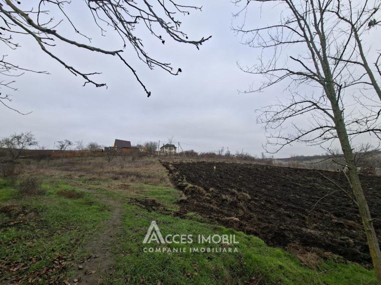 Teren pomicol 6 ari! Buneț, IP!: 3