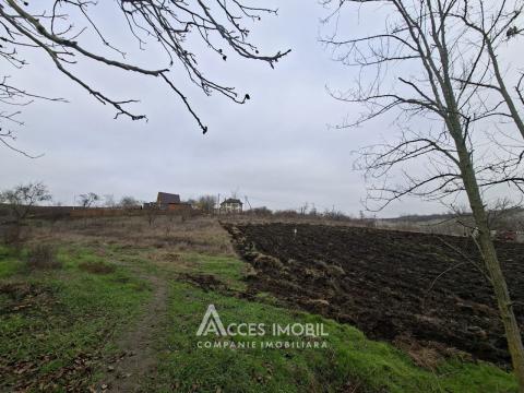 Teren pomicol 6 ari! Buneț, IP!: 3