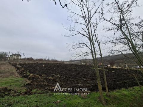 Teren pomicol 6 ari! Buneț, IP!: 4