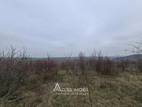 Teren pentru construcții 4 ari, Cheltuitori, str. Victoriei!: 1