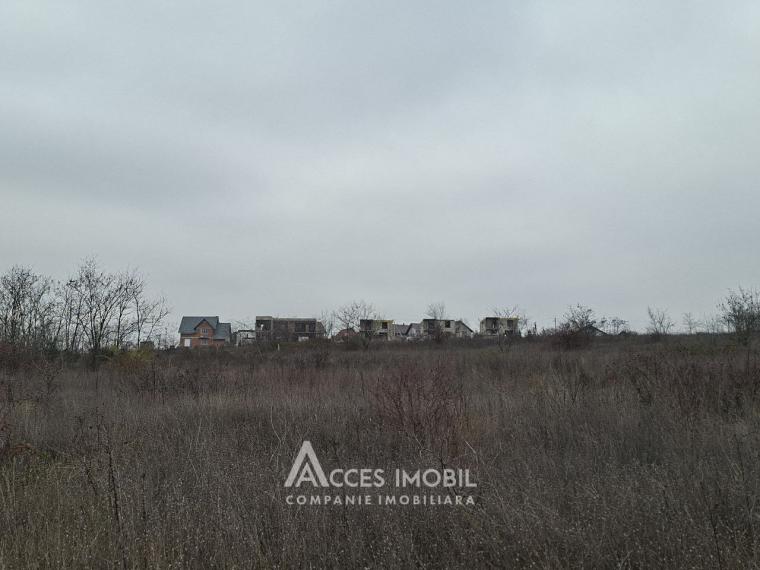 Teren pentru construcții 4 ari, Cheltuitori, str. Victoriei!: 2