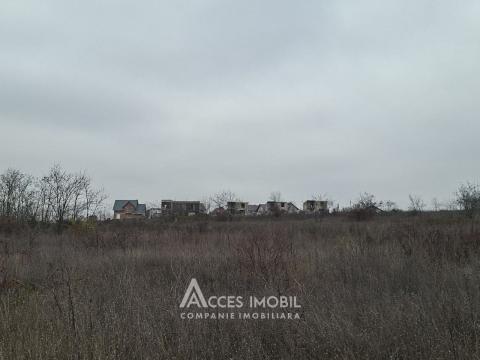 Teren pentru construcții 4 ari, Cheltuitori, str. Victoriei!: 2