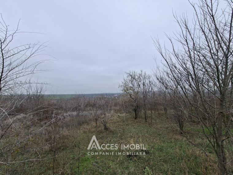 Teren pentru construcții 4 ari, Cheltuitori, str. Victoriei!: 3