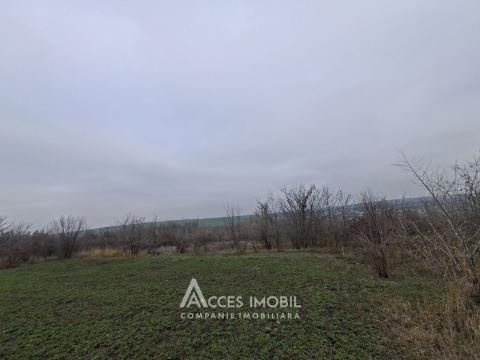 Terenuri de vânzare în Chișinău: Cheltuitori, str. Victoriei