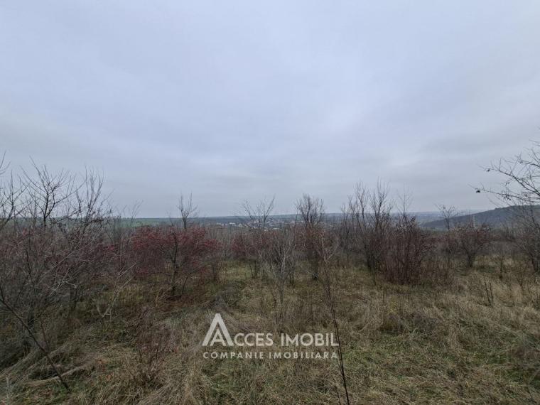 Teren pentru construcții 4 ari, Cheltuitori, str. Victoriei!: 2