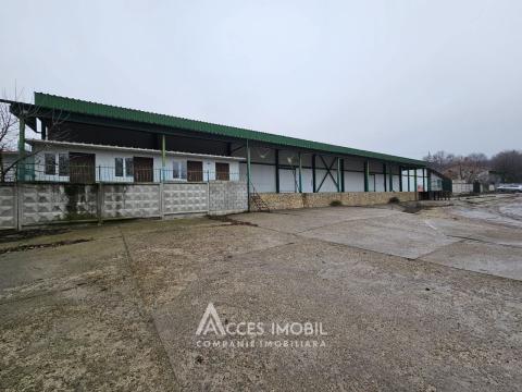 Chirie spații comerciale în Chișinău: Rîșcani,str. Petricani