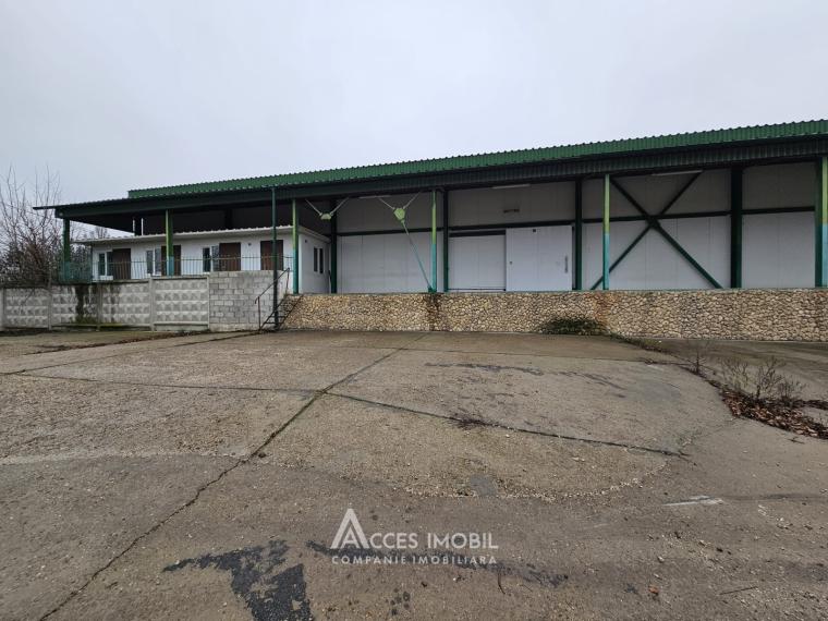 Chirie! Spațiu comercial, Râșcani str. Petricani, 762m2!: 11