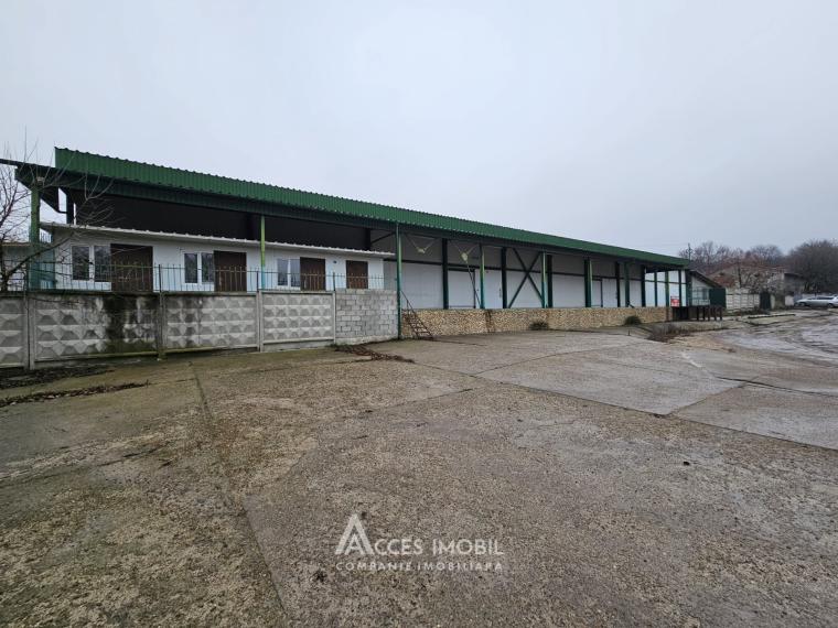 Chirie! Spațiu comercial, Râșcani str. Petricani, 762m2!: 12